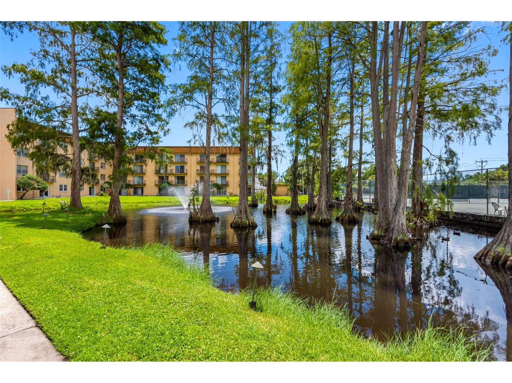 5820 N Church Avenue #346 Tampa FL 33614 TB8480932 image38