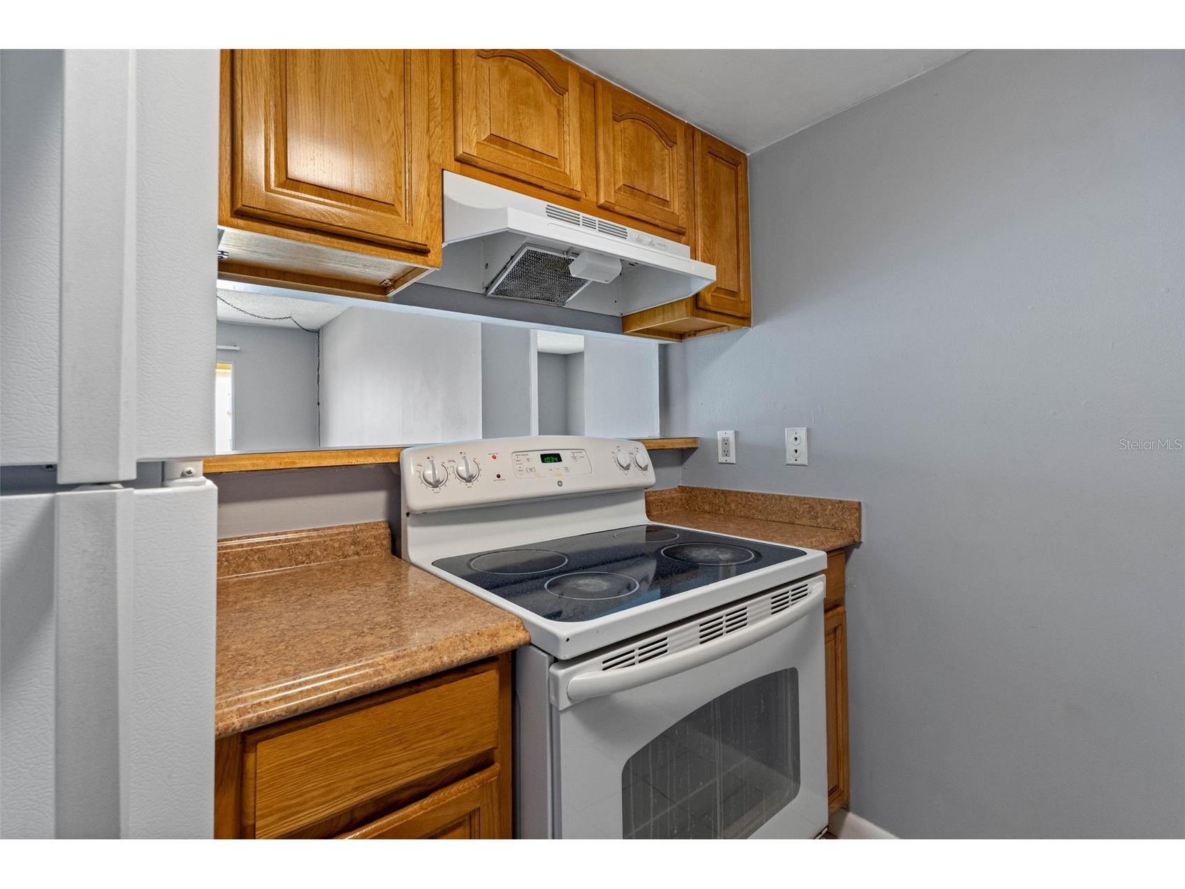 5820 N Church Avenue #346 Tampa FL 33614 TB8480932 image9