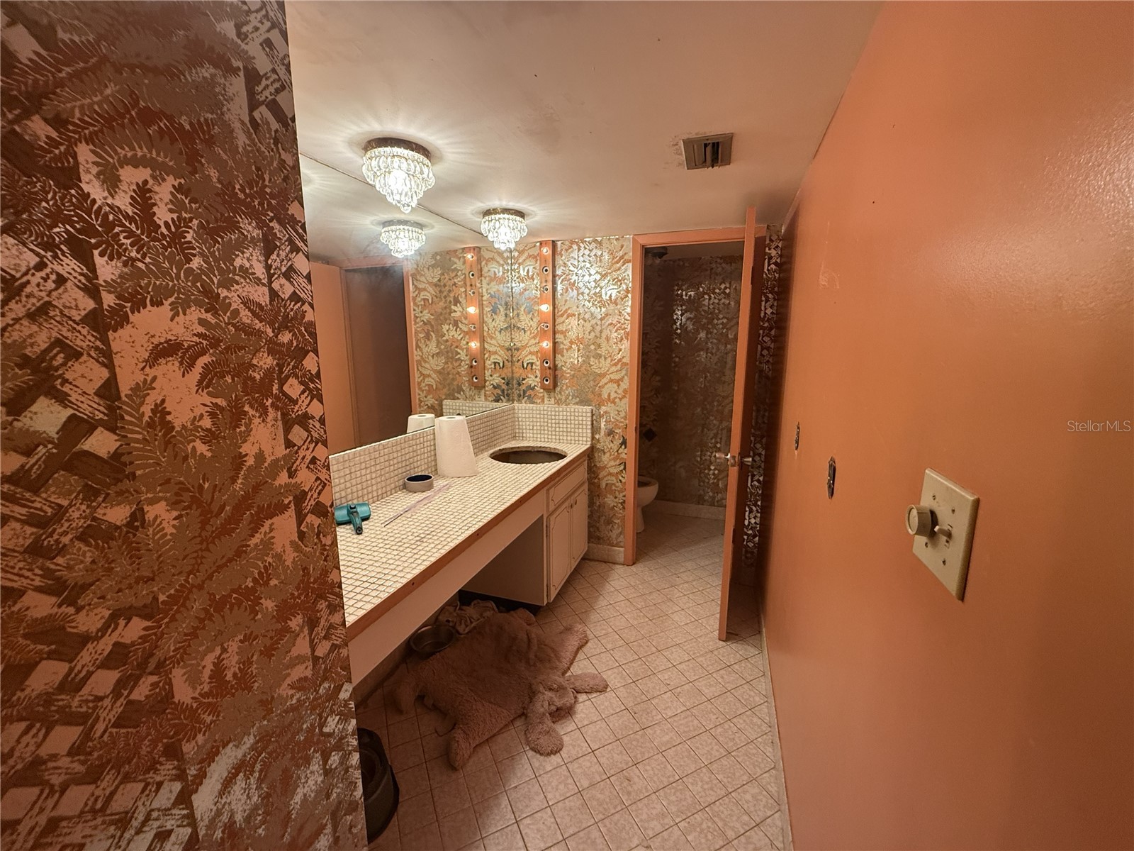 5820 N Church Avenue #446 Tampa FL 33614 TB8482748 image3