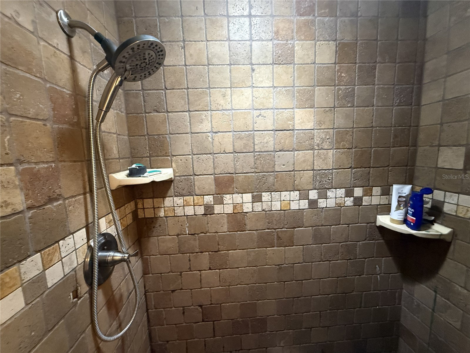 5820 N Church Avenue #446 Tampa FL 33614 TB8482748 image9