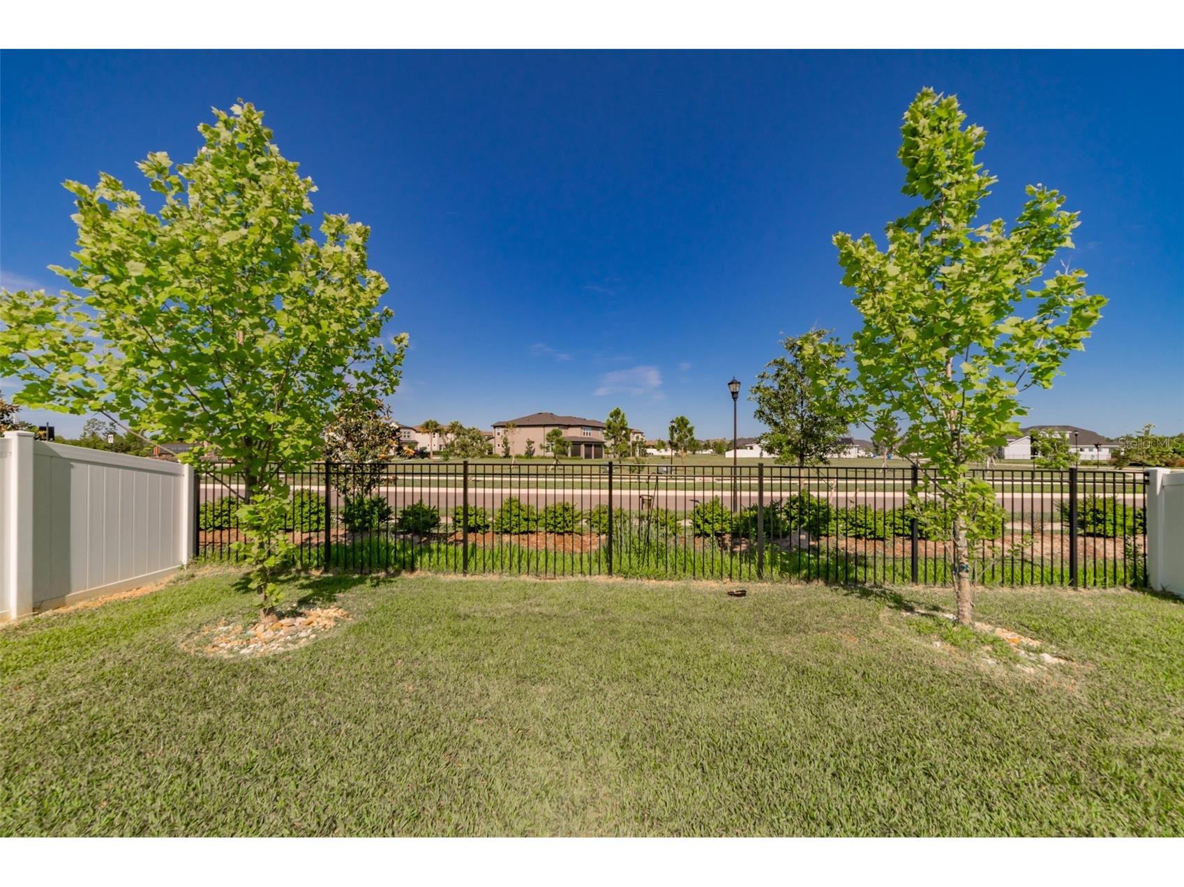 5820 Timberdale Avenue Wesley Chapel FL 33545 TB8494557 image23