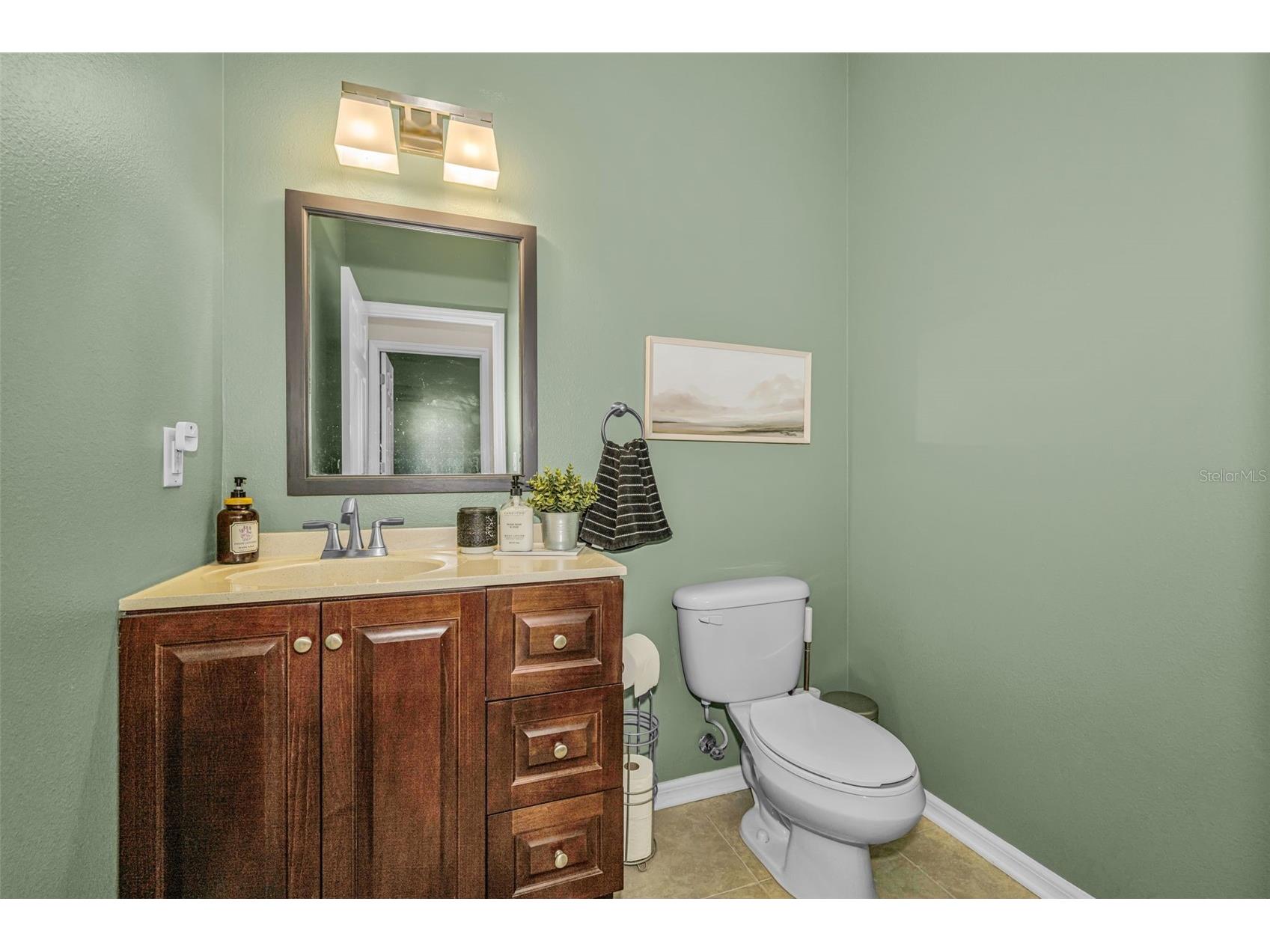 5820 Tulip Flower Drive Riverview FL 33578 TB8501816 image21