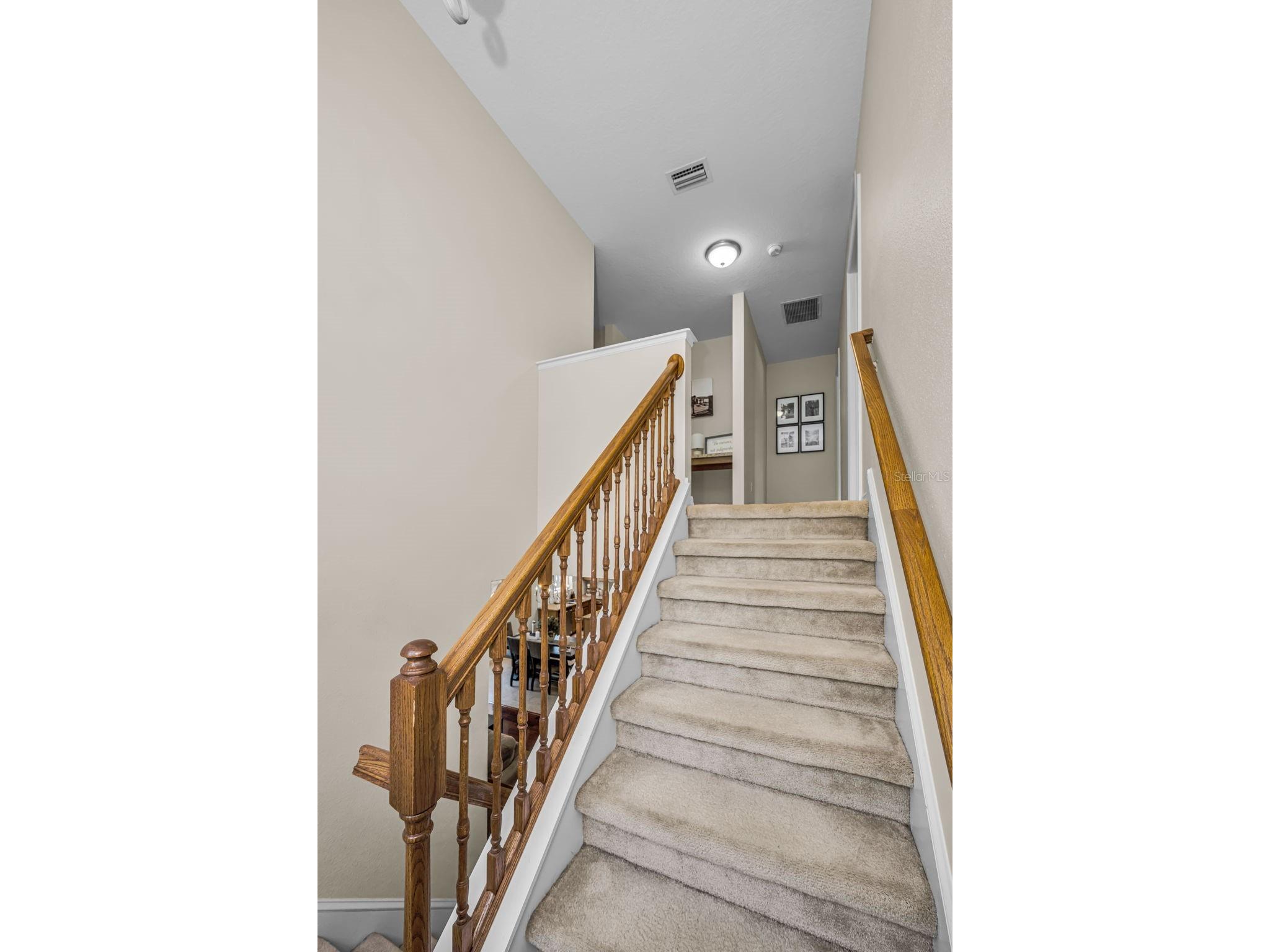 5820 Tulip Flower Drive Riverview FL 33578 TB8501816 image23