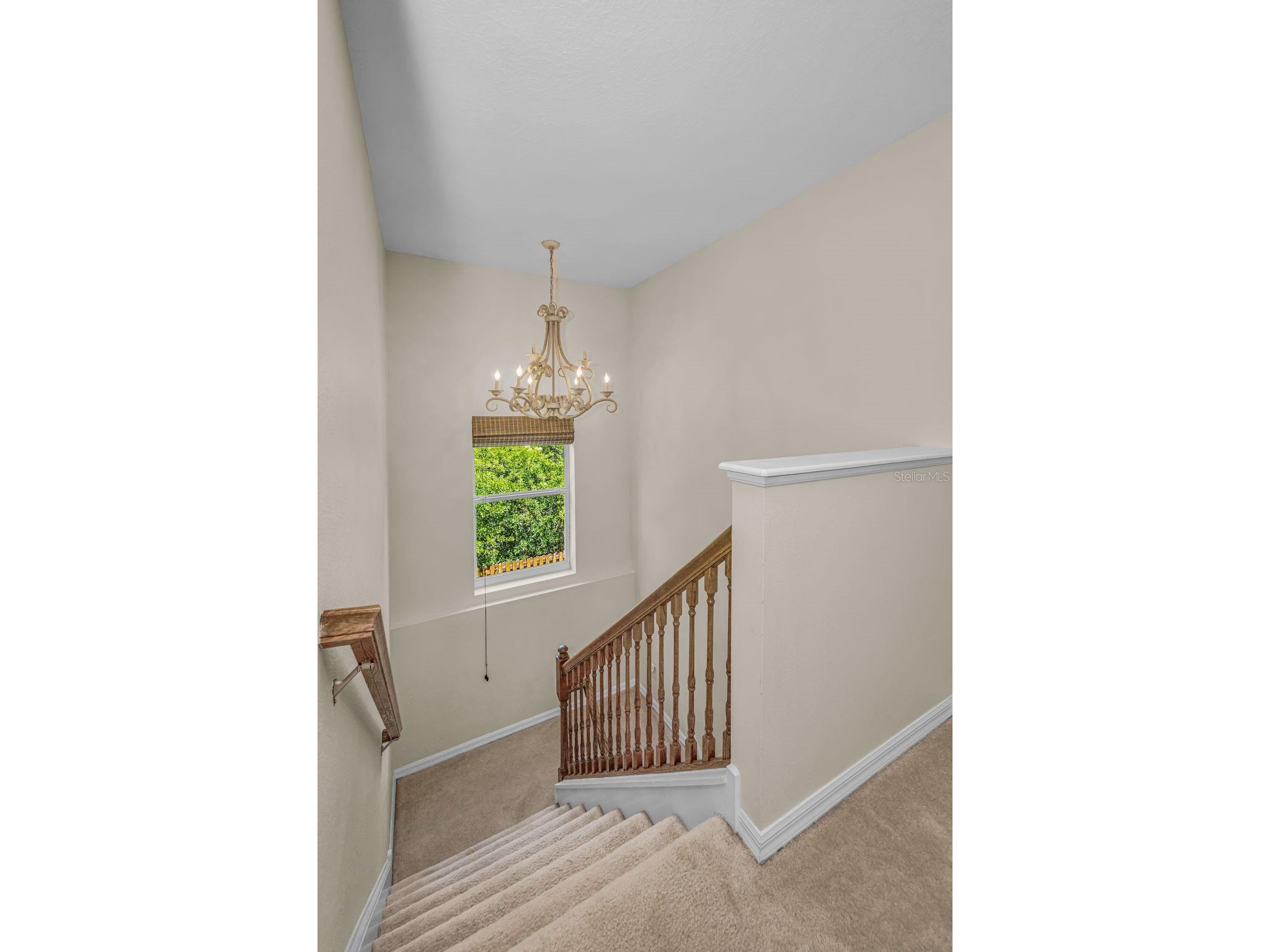 5820 Tulip Flower Drive Riverview FL 33578 TB8501816 image24