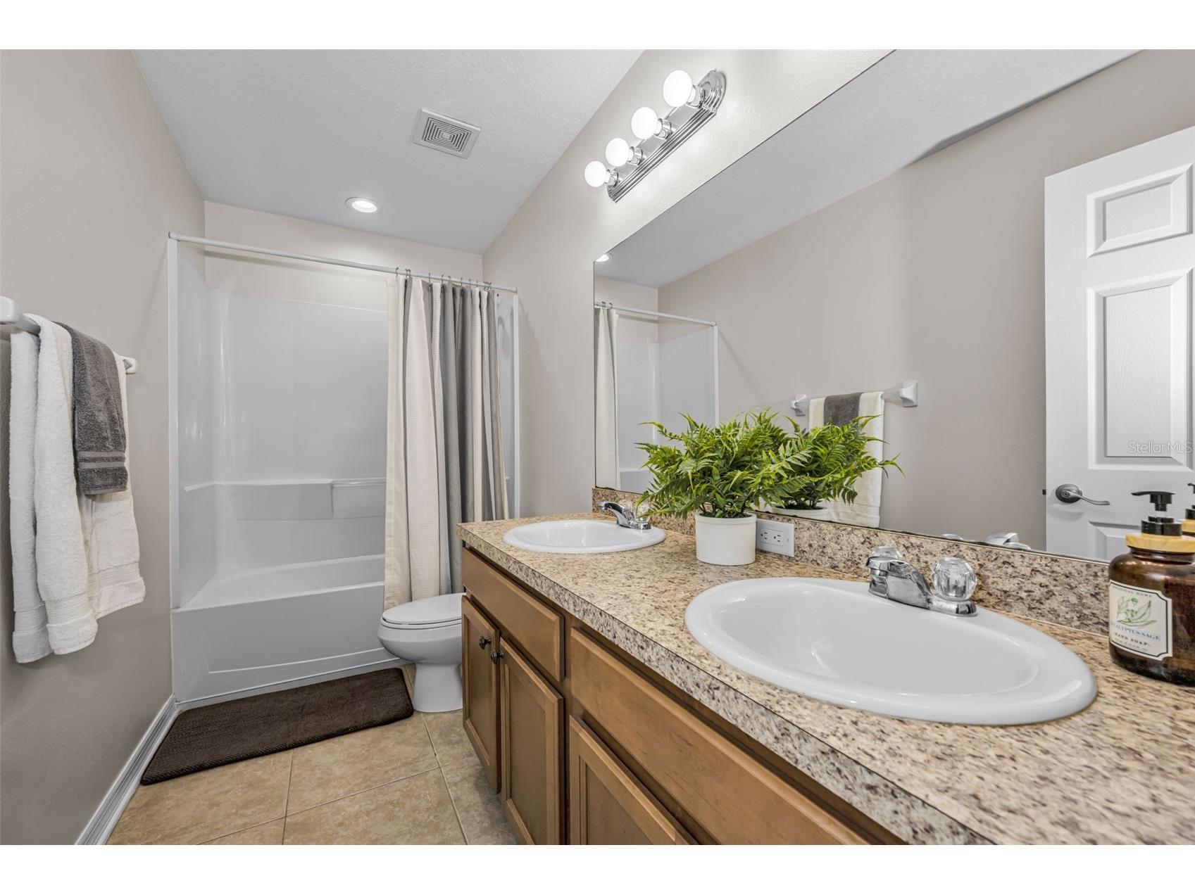 5820 Tulip Flower Drive Riverview FL 33578 TB8501816 image27