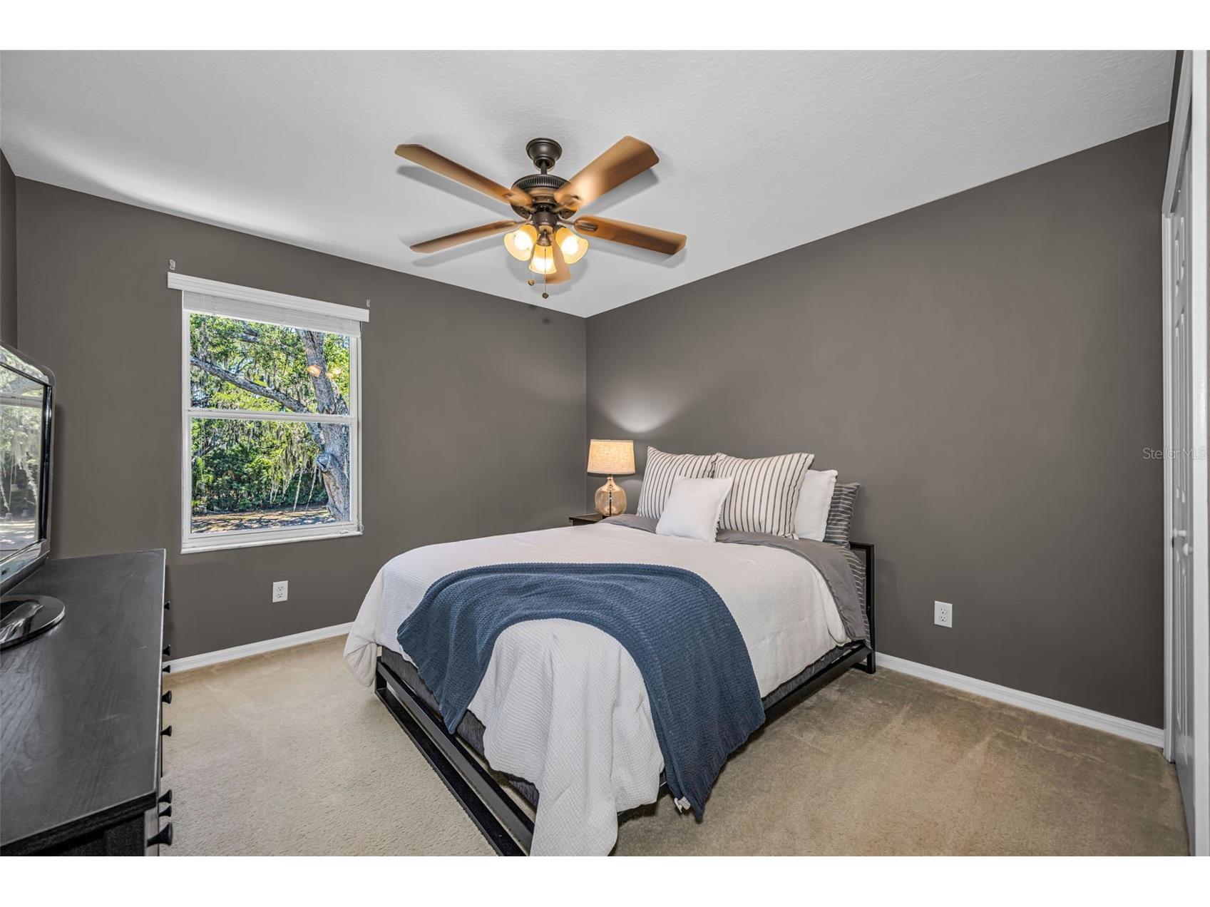 5820 Tulip Flower Drive Riverview FL 33578 TB8501816 image29