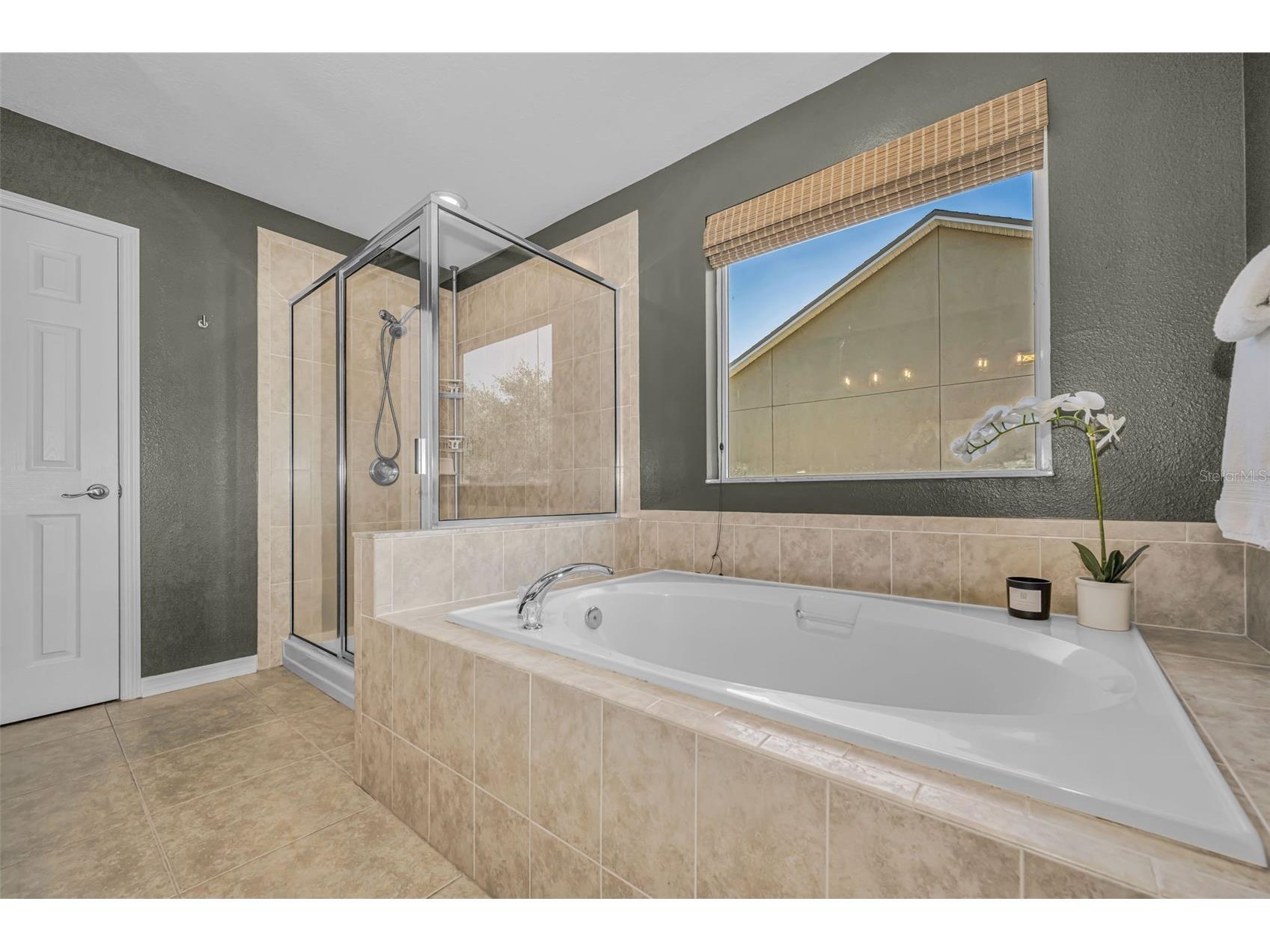 5820 Tulip Flower Drive Riverview FL 33578 TB8501816 image32