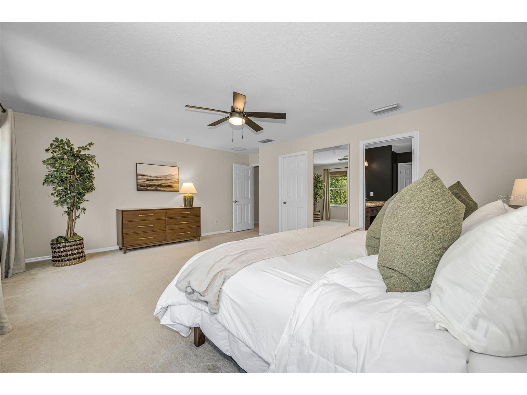 5820 Tulip Flower Drive Riverview FL 33578 TB8501816 image36