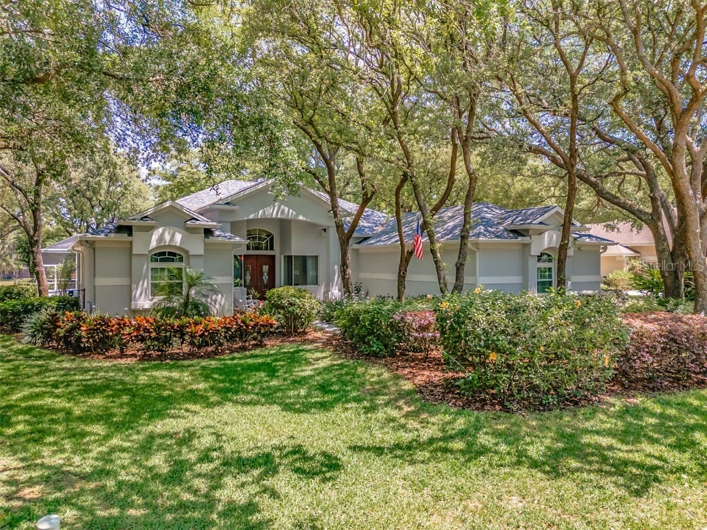 5821 Audubon Manor Boulevard Lithia FL 33547 T3526478 image1