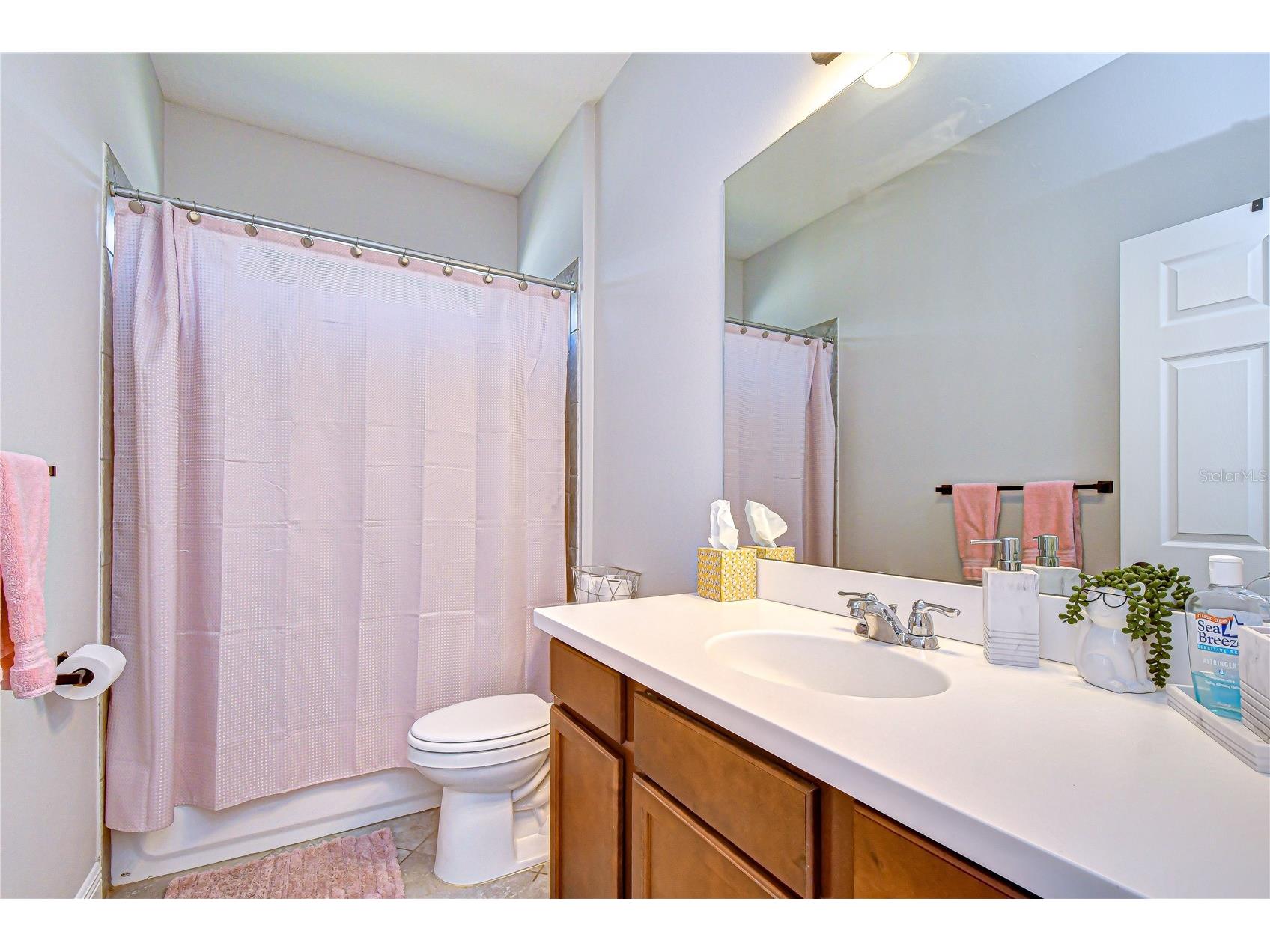 5821 Jasper Glen Drive Lithia FL 33547 TB8487948 image16