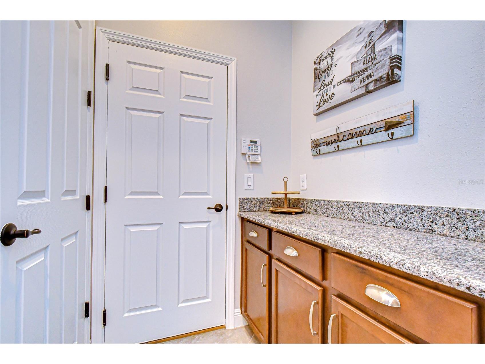 5821 Jasper Glen Drive Lithia FL 33547 TB8487948 image21