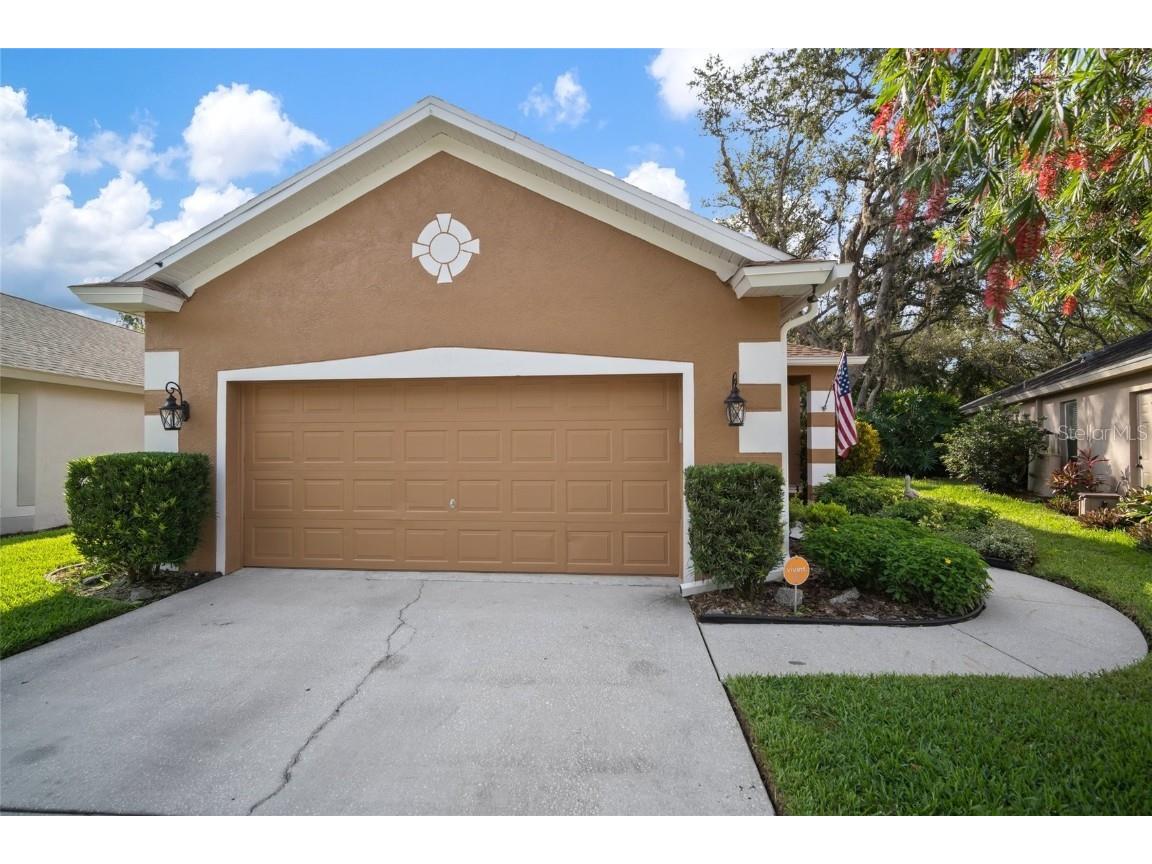 5821 Meadowpark Place Lithia FL 33547 T3454523 image1