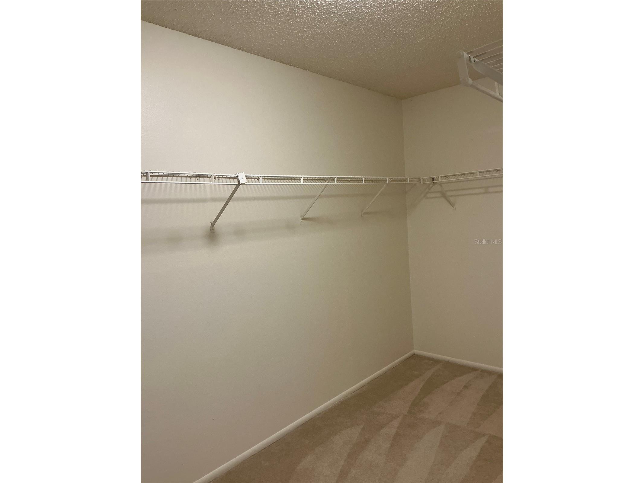 5821 Taywood Drive Tampa FL 33624 TB8474817 image12