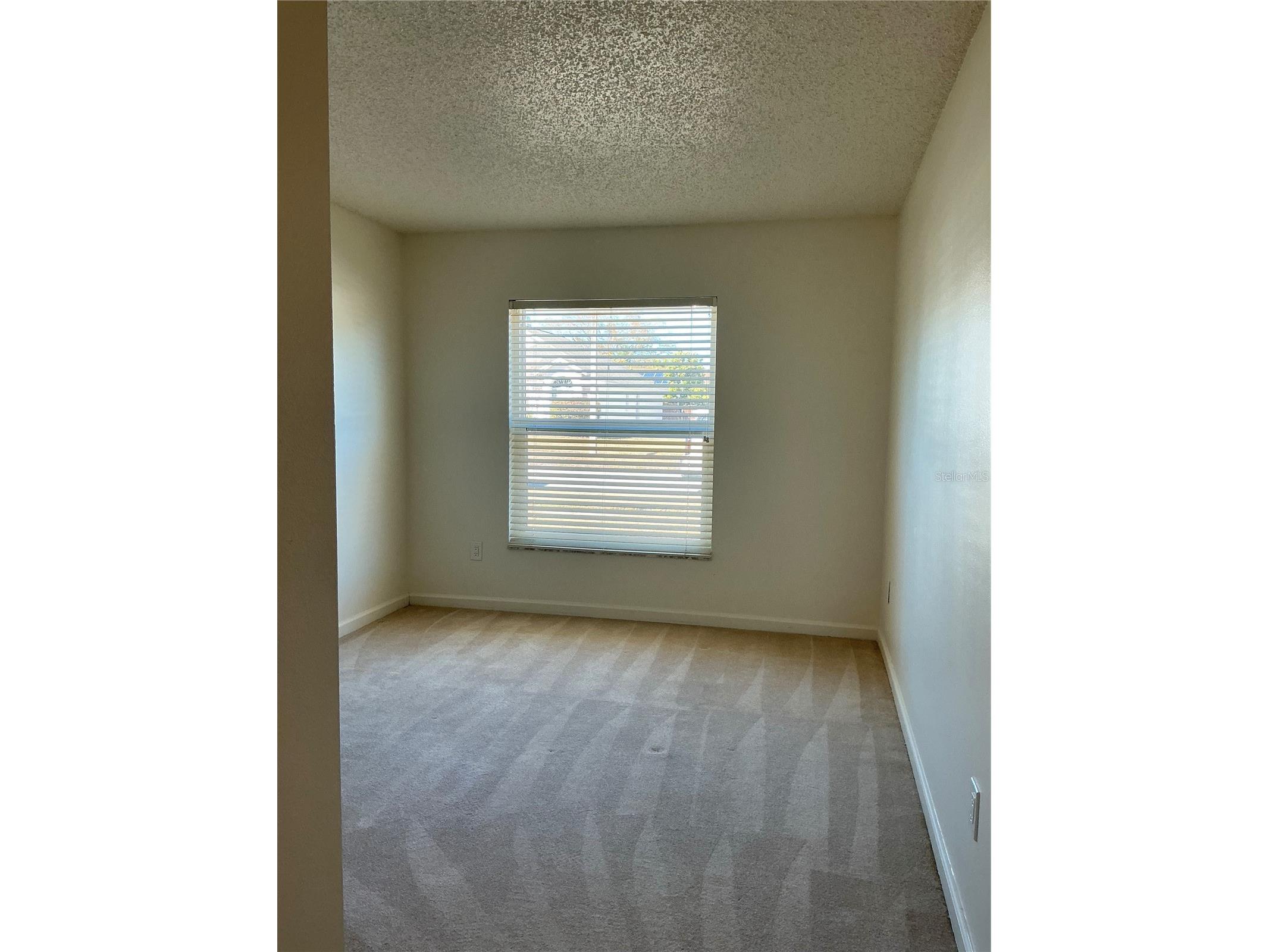 5821 Taywood Drive Tampa FL 33624 TB8474817 image15