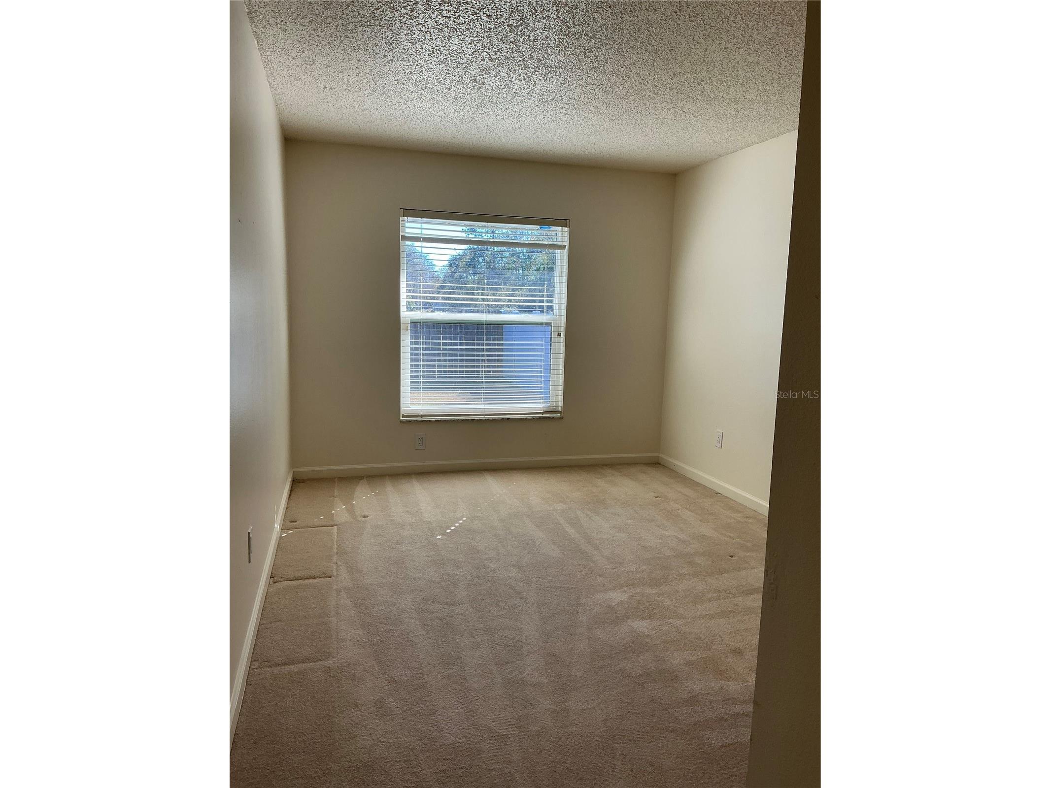 5821 Taywood Drive Tampa FL 33624 TB8474817 image17