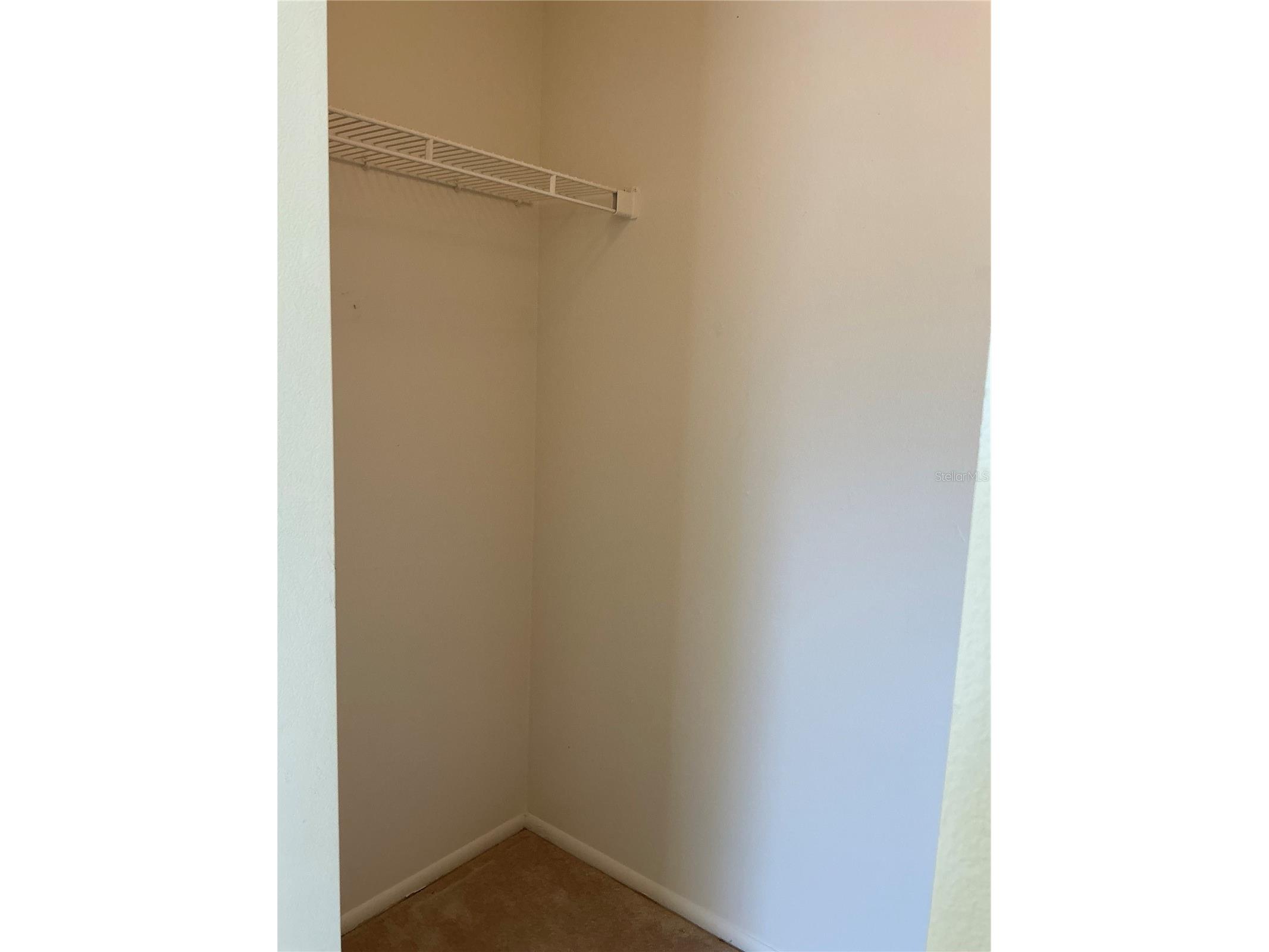 5821 Taywood Drive Tampa FL 33624 TB8474817 image18