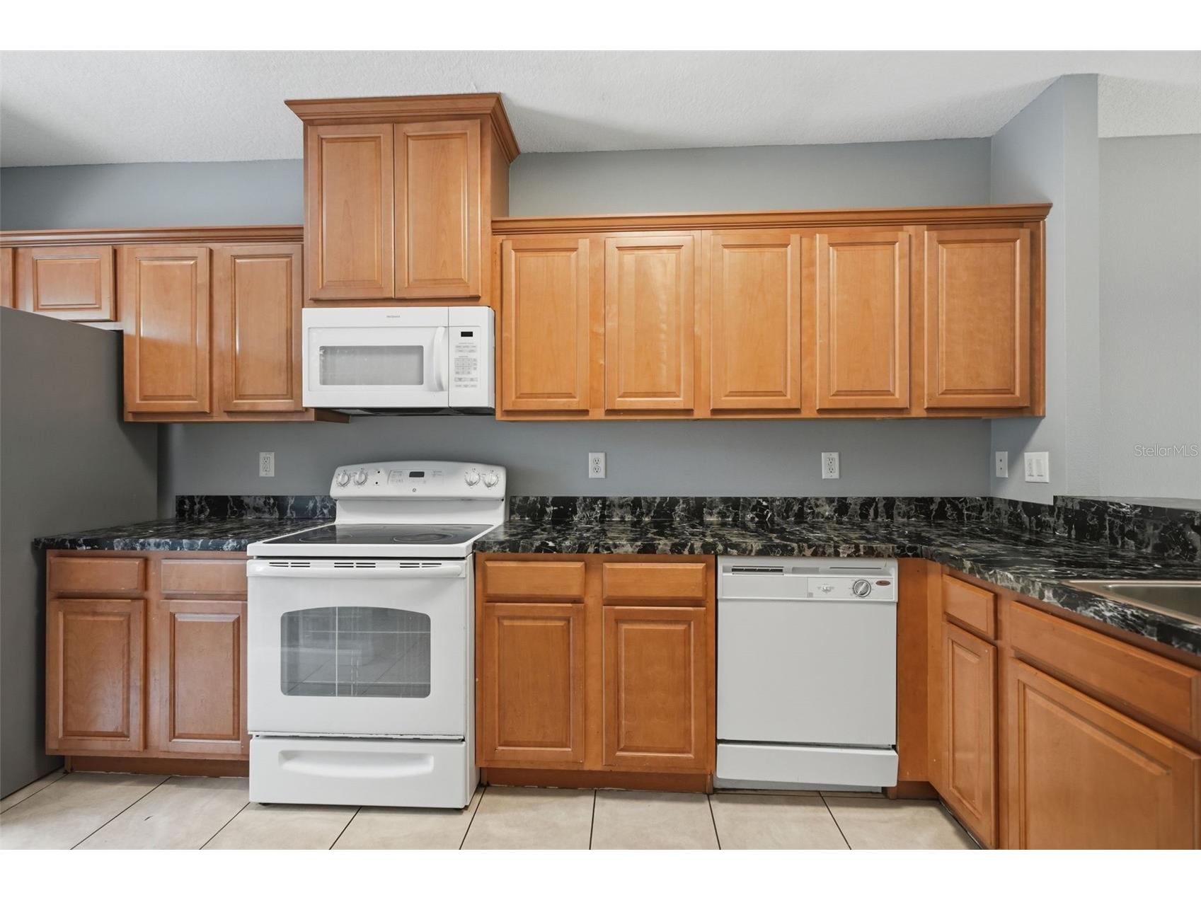 5822 Nature Terrace Cove Tampa FL 33617 W7887289 image12