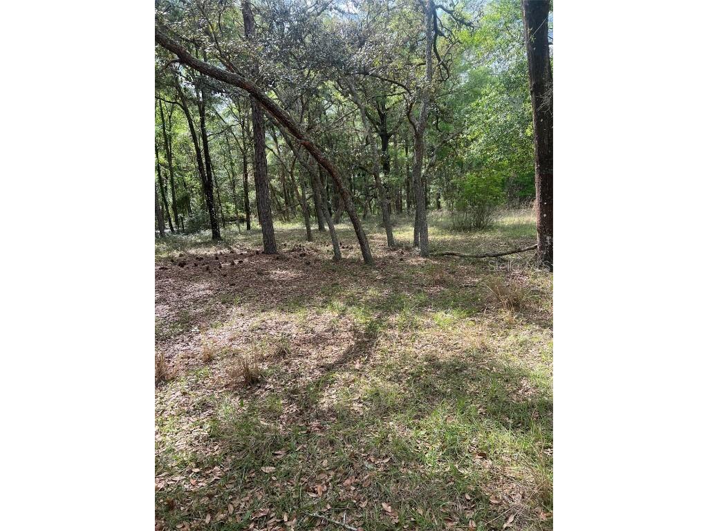 5822 SW 120th Avenue Webster FL 33597 G5068610 image1