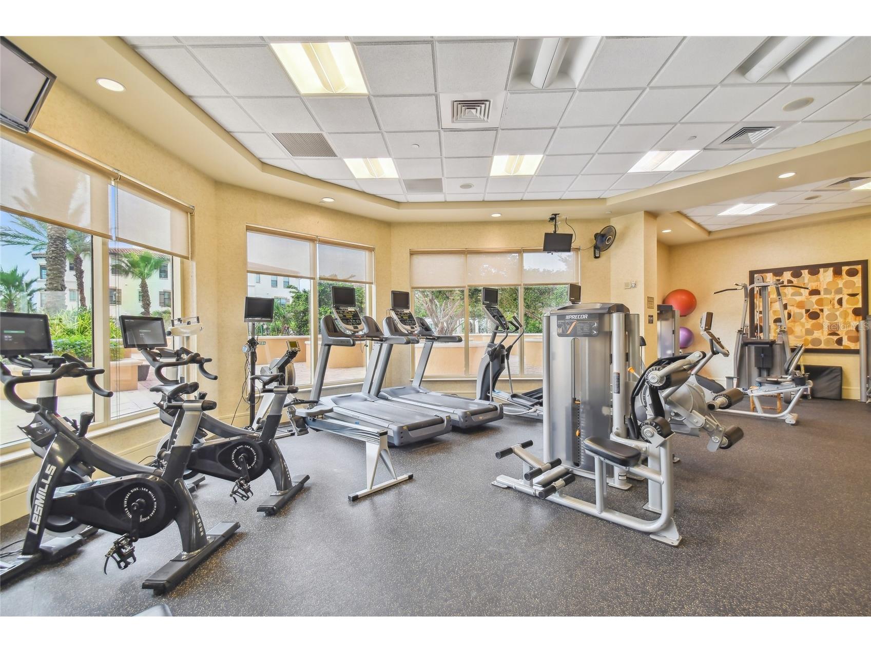 5823 Bowen Daniel Drive #1103 Tampa FL 33616 - OLD TAMPA BAY TB8493305 image74