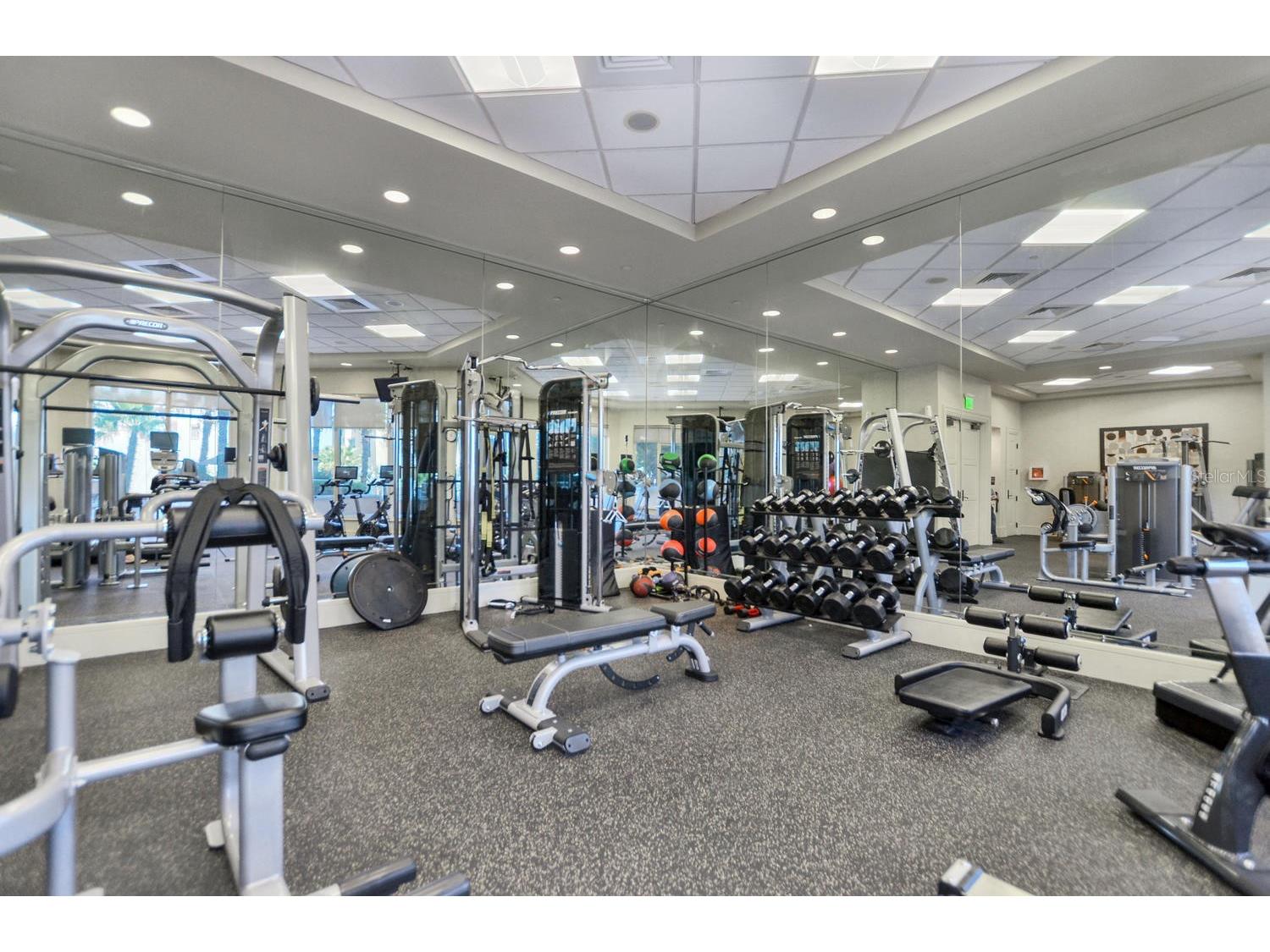 5823 Bowen Daniel Drive #401 Tampa FL 33616 - TAMPA BAY TB8487963 image63