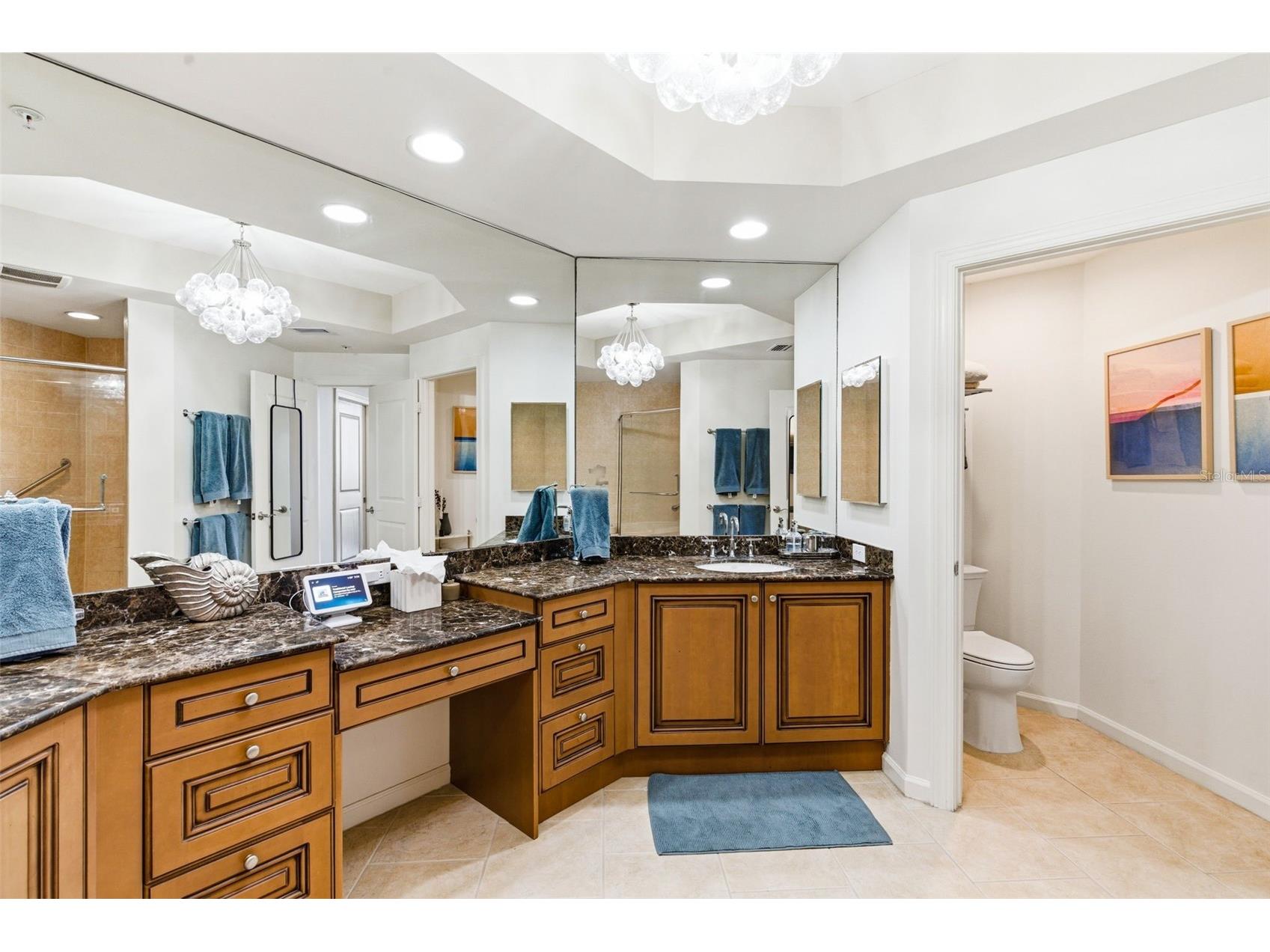 5823 Bowen Daniel Drive #702 Tampa FL 33616 TB8488625 image39