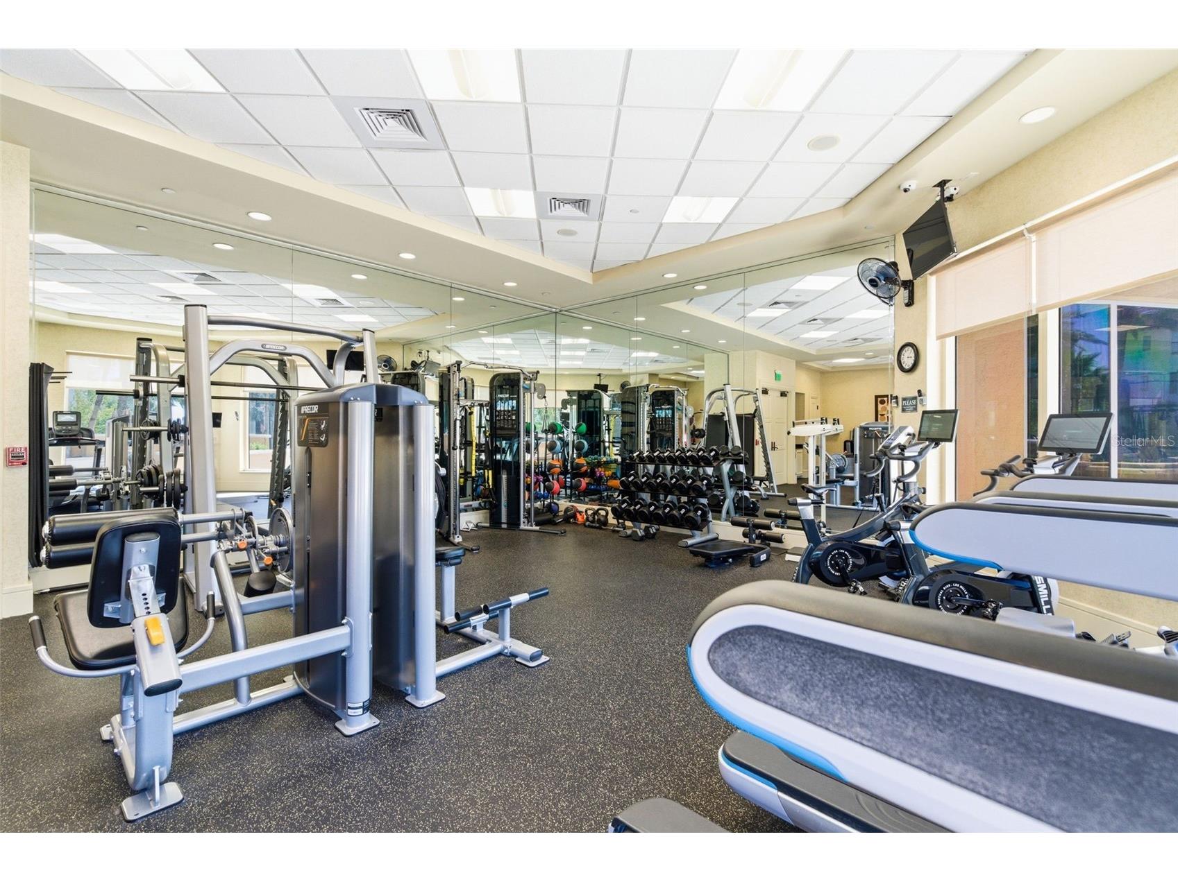 5823 Bowen Daniel Drive #702 Tampa FL 33616 TB8488625 image53