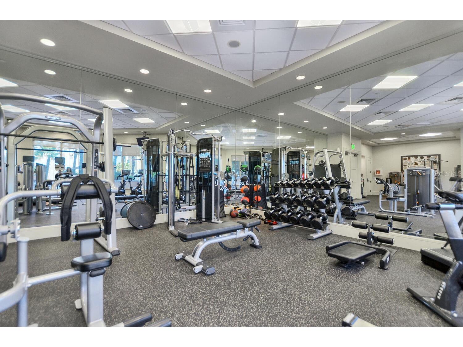 5823 Bowen Daniel Drive #802 Tampa FL 33616 TB8501152 image48