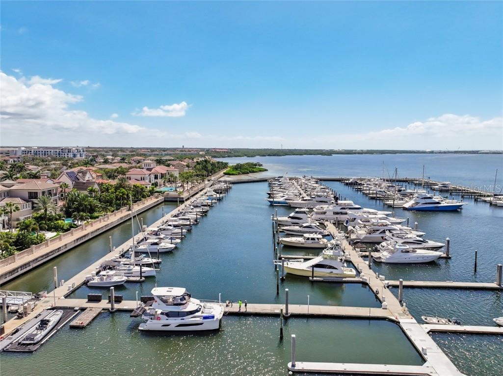 5823 Bowen Daniel Drive #902 Tampa FL 33616 TB8435064 image3