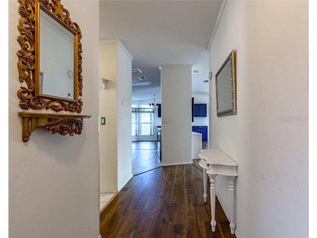 5823 Navaho Court Zephyrhills FL 33542 TB8429397 image20