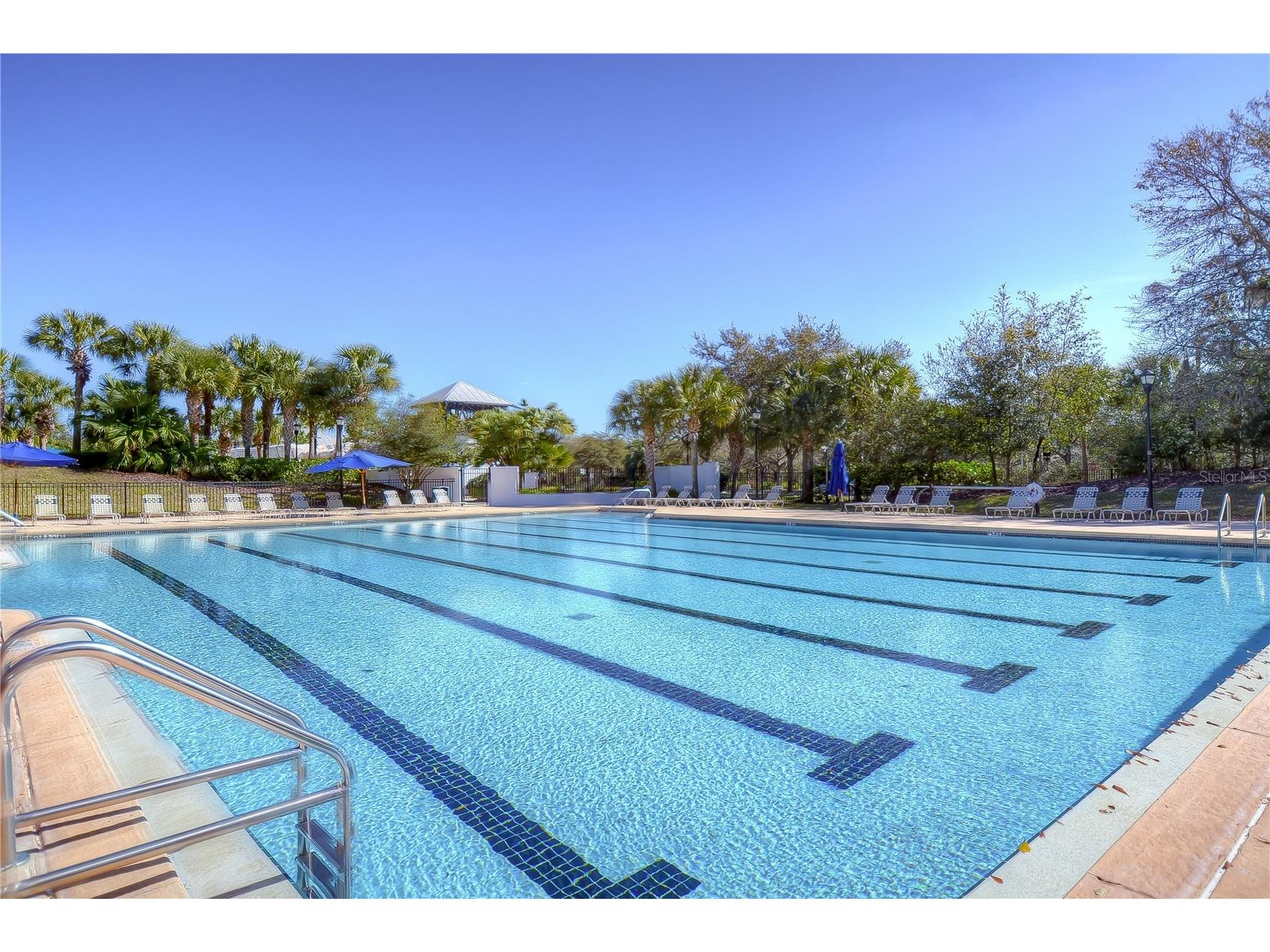 5823 Terncrest Drive Lithia FL 33547 TB8497590 image77