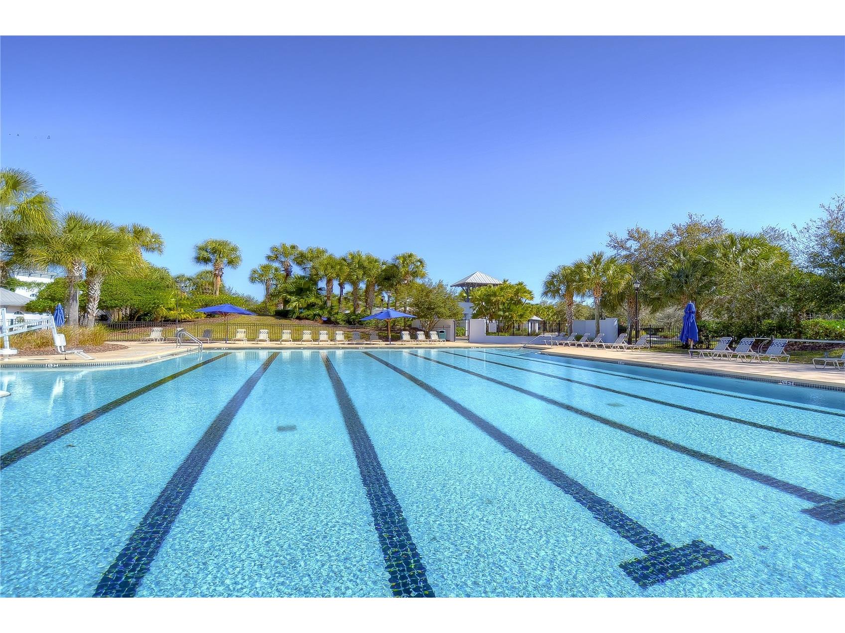 5823 Terncrest Drive Lithia FL 33547 TB8497590 image78