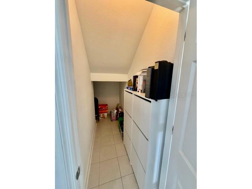 5824 Circa Fishhawk Boulevard Lithia FL 33547 TB8481119 image13