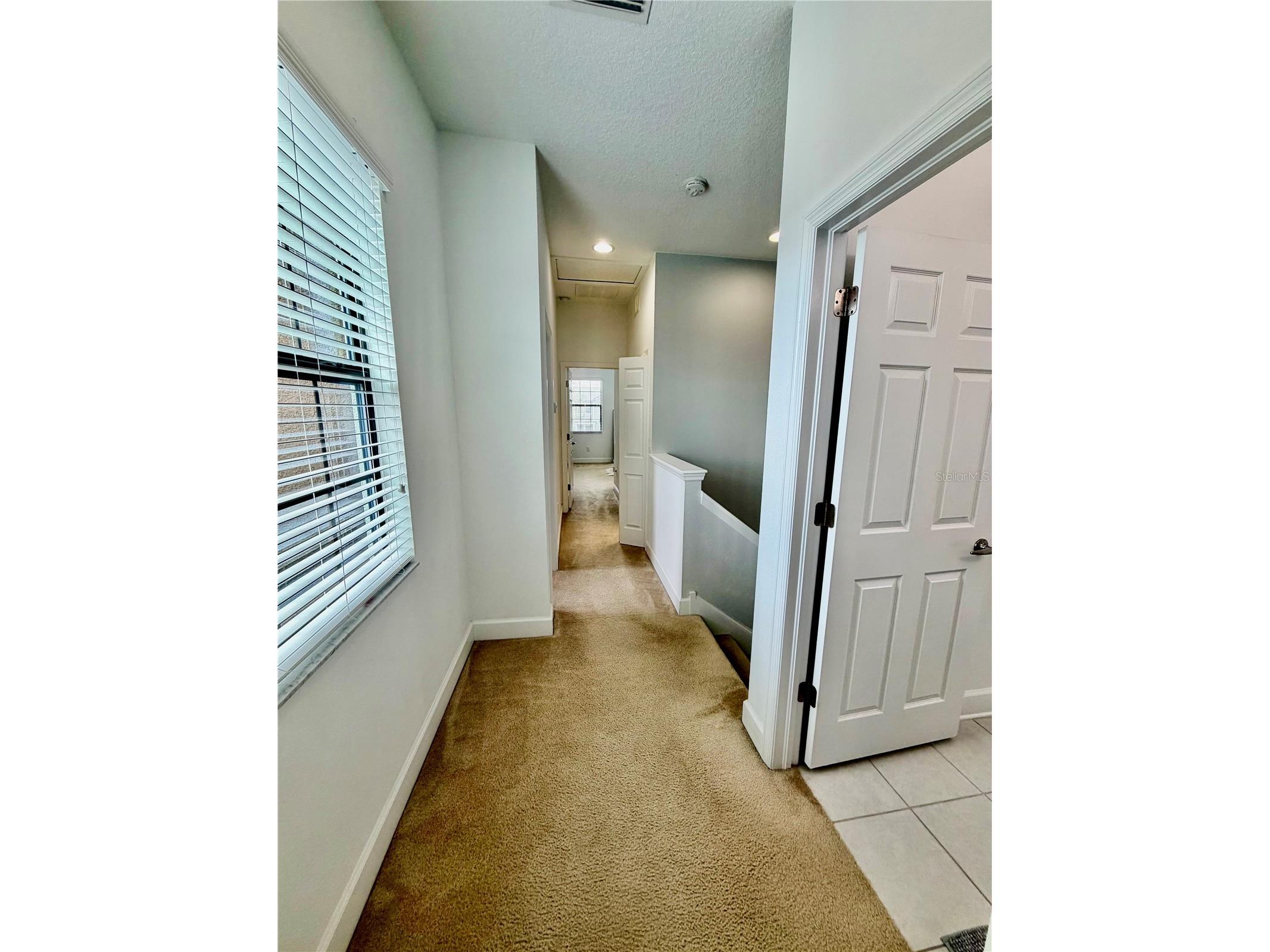 5824 Circa Fishhawk Boulevard Lithia FL 33547 TB8481119 image15