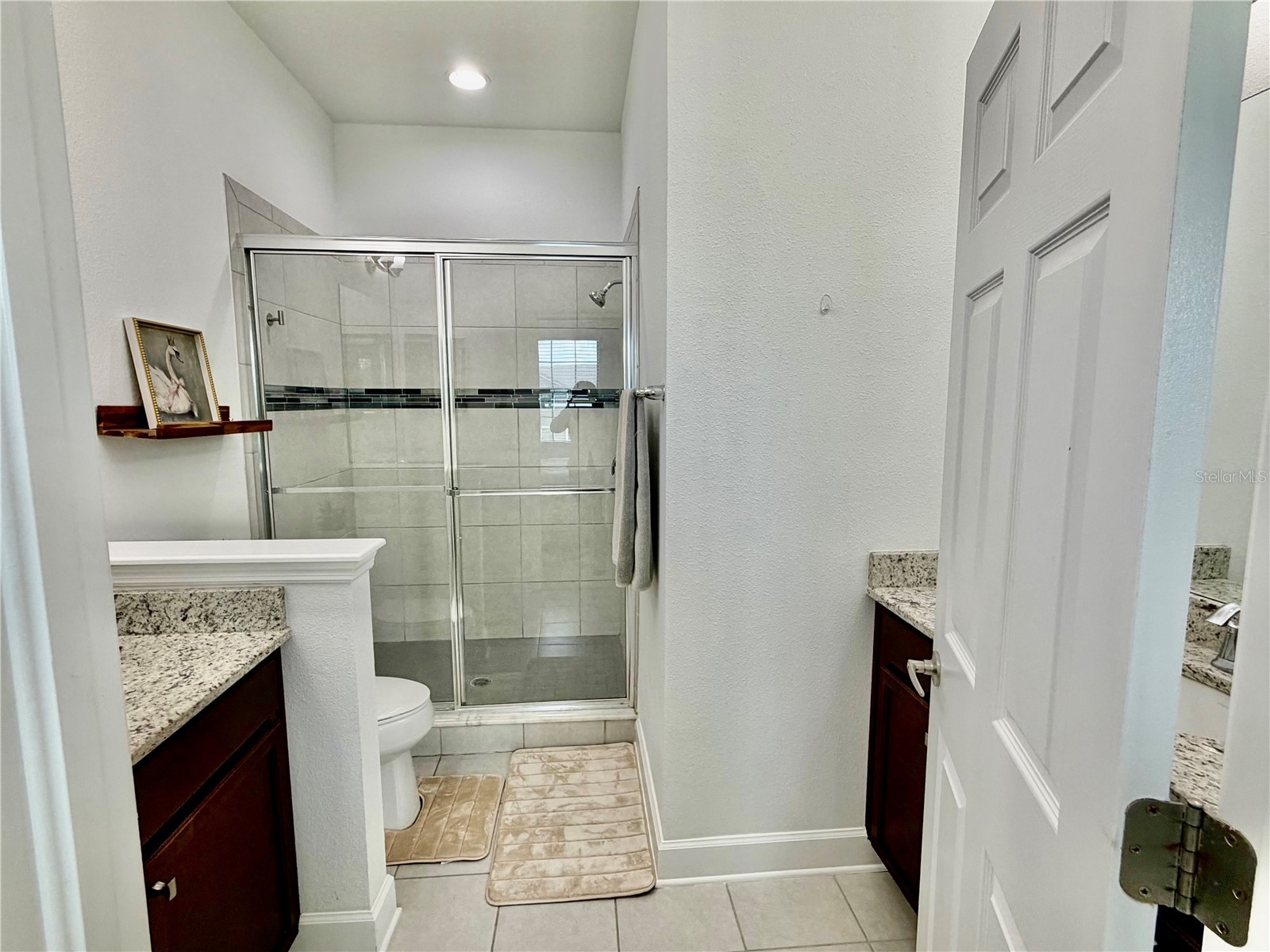 5824 Circa Fishhawk Boulevard Lithia FL 33547 TB8481119 image19
