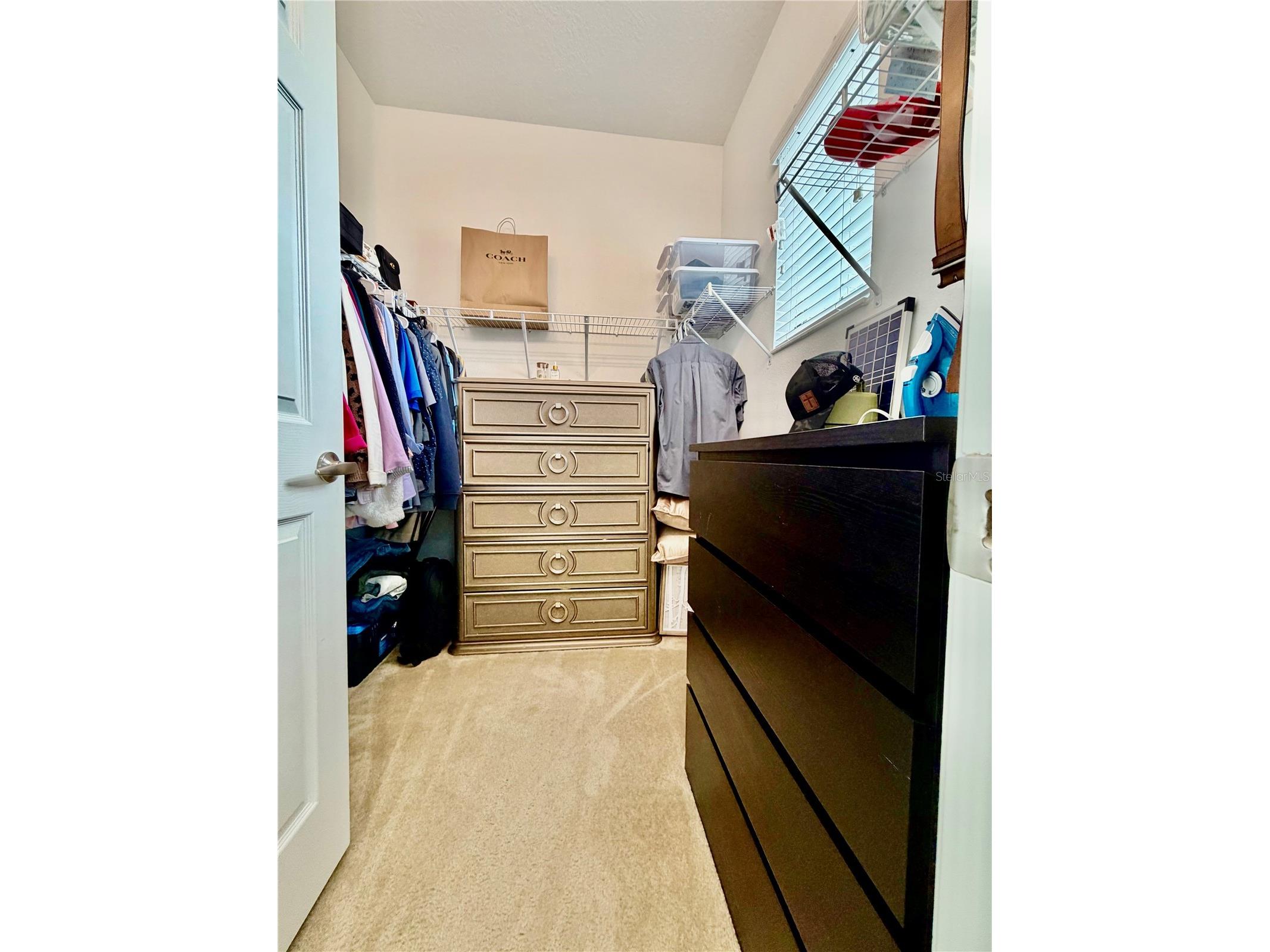 5824 Circa Fishhawk Boulevard Lithia FL 33547 TB8481119 image23