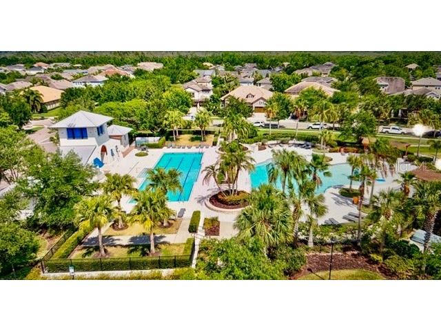 5824 Circa Fishhawk Boulevard Lithia FL 33547 TB8481119 image32