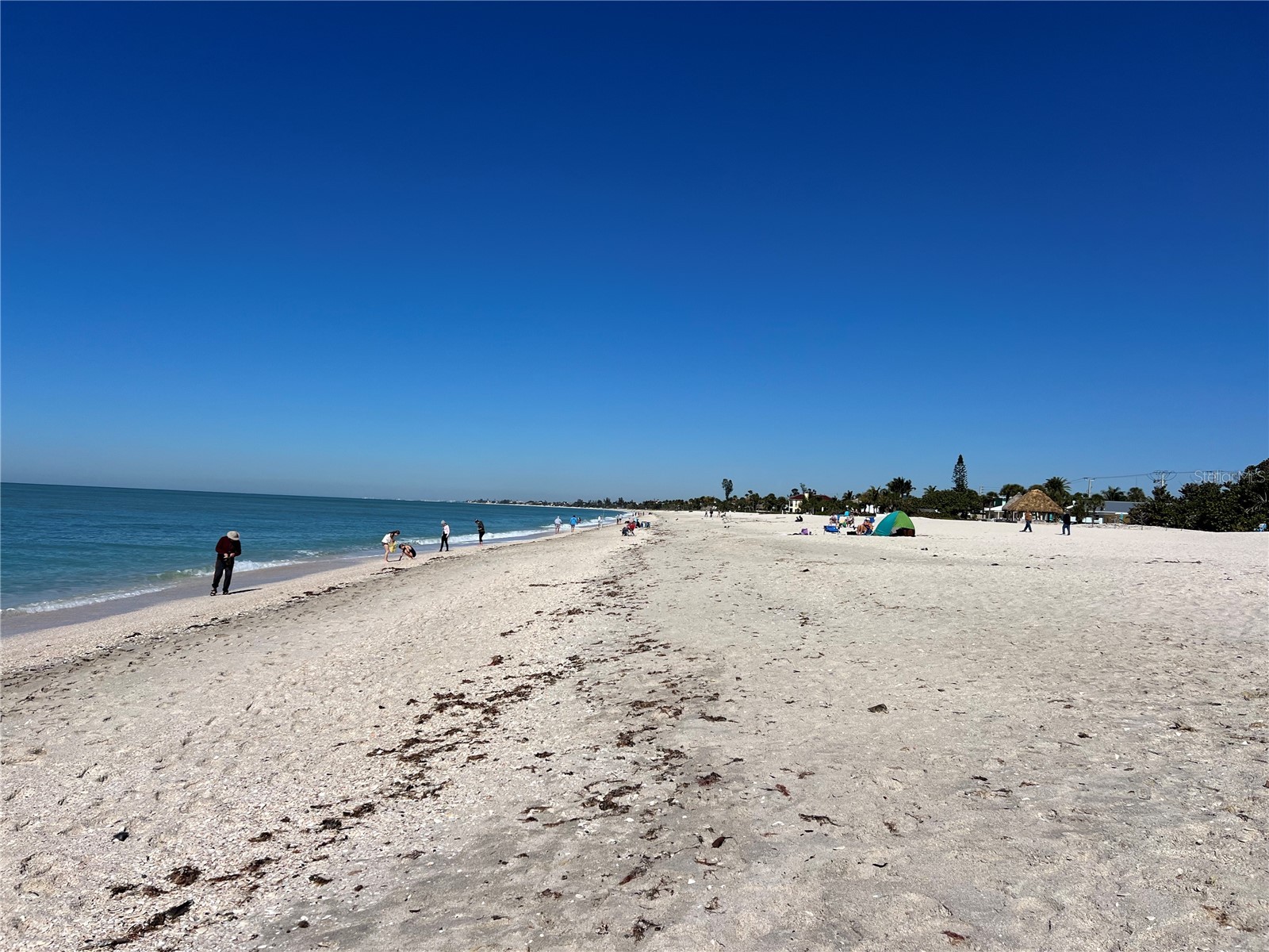5824 Ocean Isle Drive Nokomis FL 34275 N6142601 image44