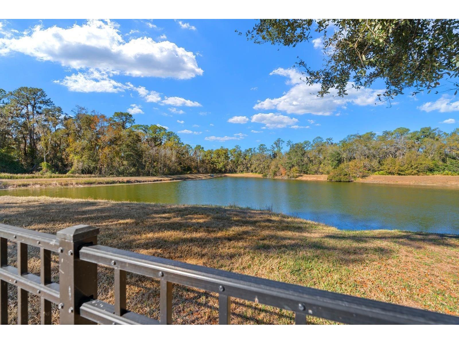 5825 Hawkwood Court Lithia FL 33547 TB8470468 image21