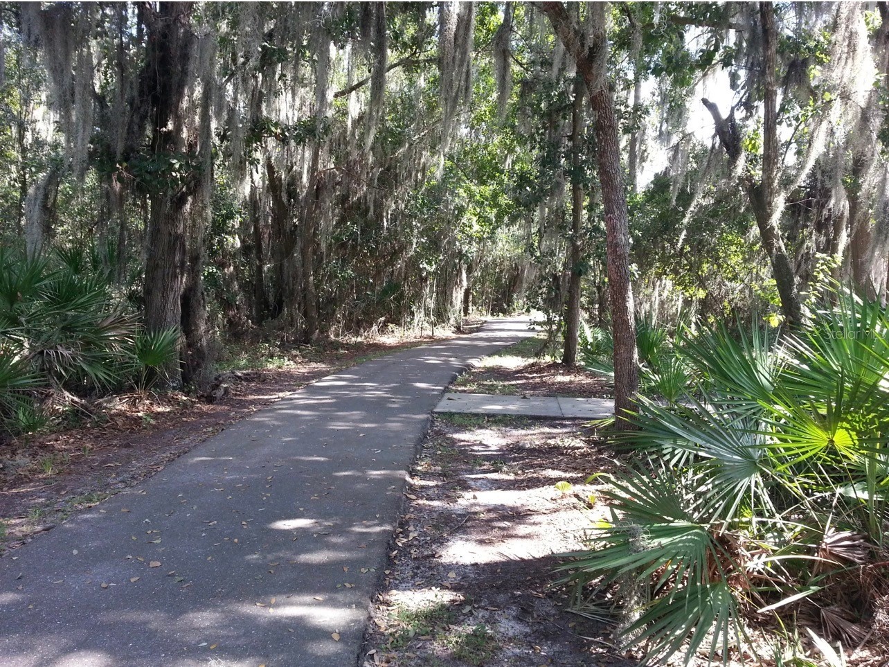 5825 Hawkwood Court Lithia FL 33547 TB8470468 image32