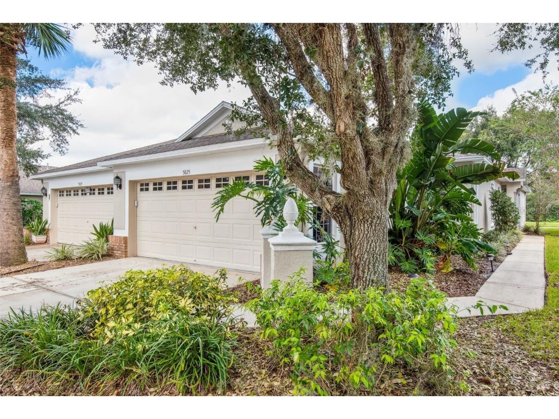 5825 Phoebenest Drive Lithia FL 33547 U8188447 image1