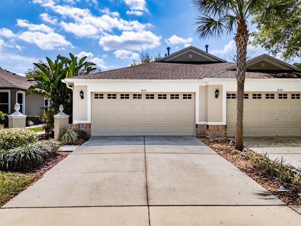 5826 Phoebenest Drive Lithia FL 33547 T3510871 image1