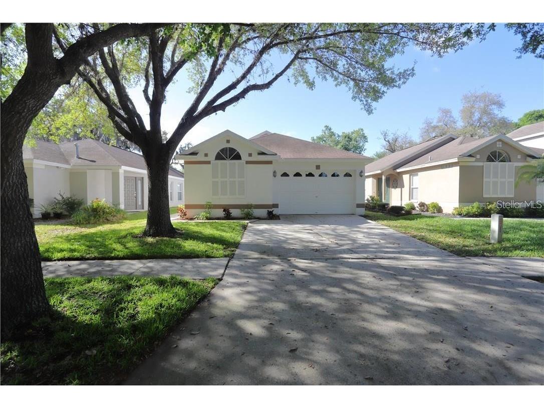5826 Tanagerlake Road Lithia FL 33547 T3534338 image1
