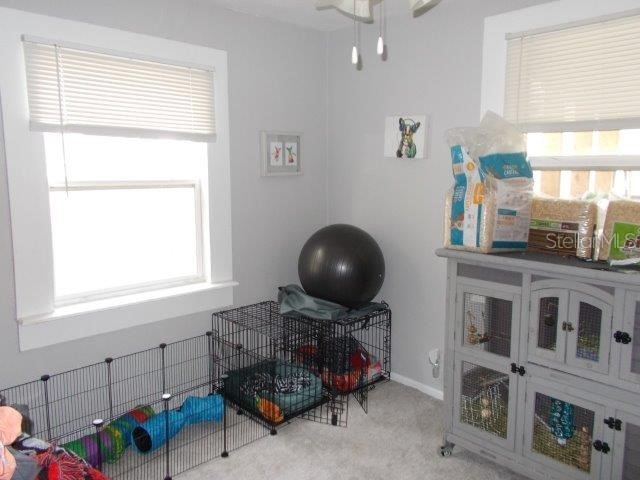 5827 39th Street N Saint Petersburg FL 33741 W7871940 image25