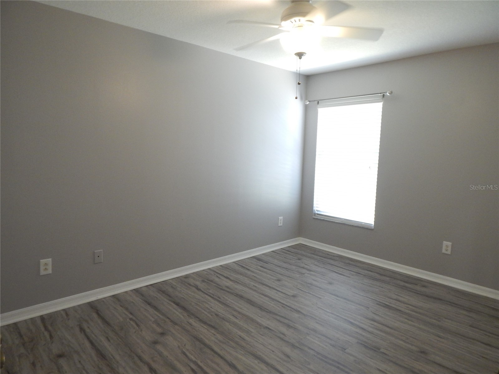 5827 Meadowpark Place Lithia FL 33547 TB8503490 image19
