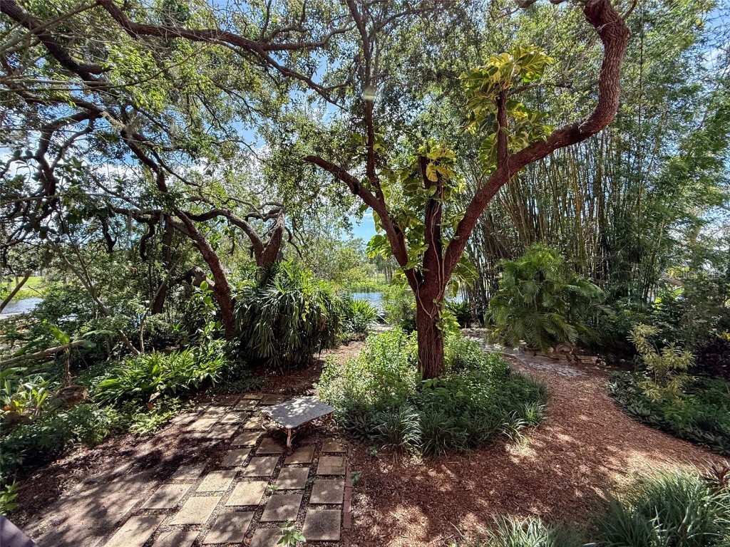 5827 Rio Drive New Port Richey FL 34652 W7878026 image13