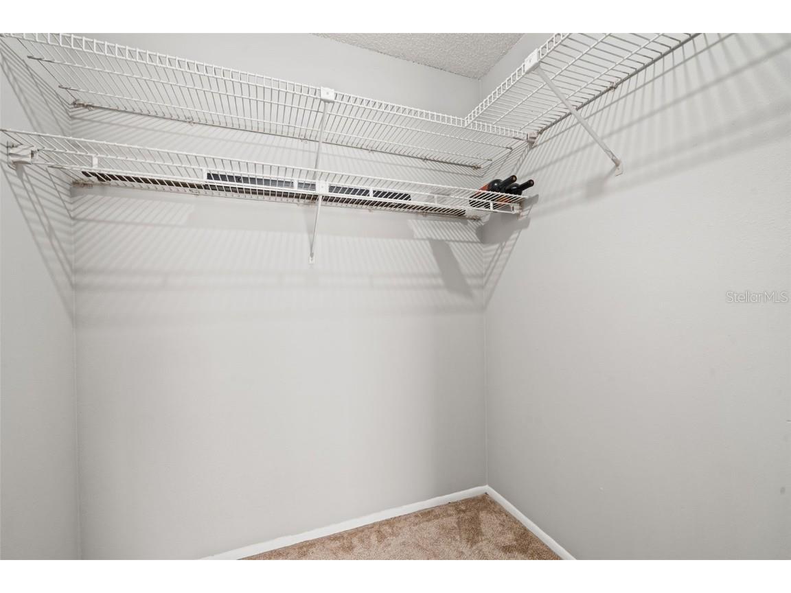 5828 Mariposa Drive Holiday FL 34690 TB8431619 image21