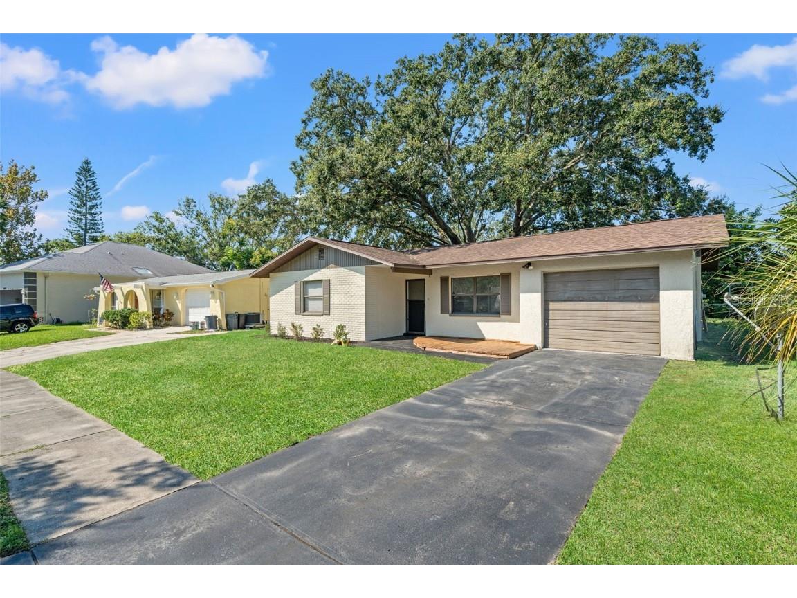 5828 Mariposa Drive Holiday FL 34690 TB8431619 image4
