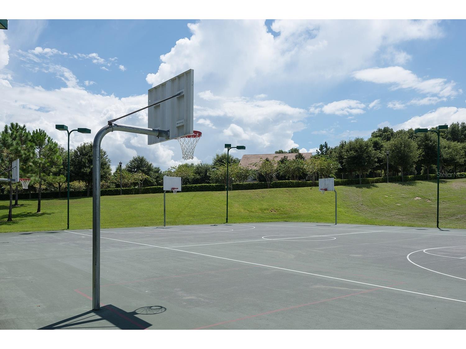 5828 Puzo Place Mount Dora FL 32757 G5102109 image24