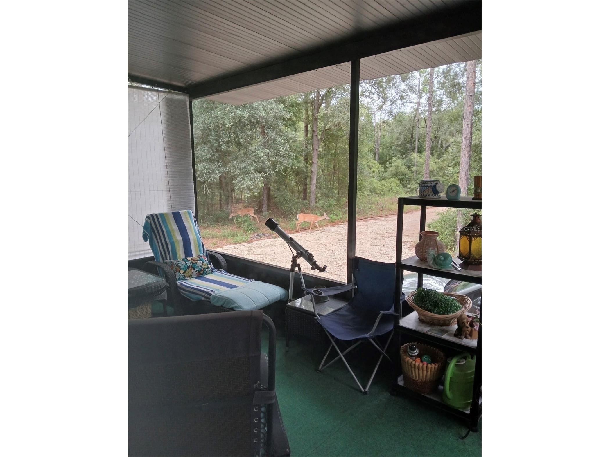 5829 NW 11th Avenue Bell FL 32619 W7882167 image23