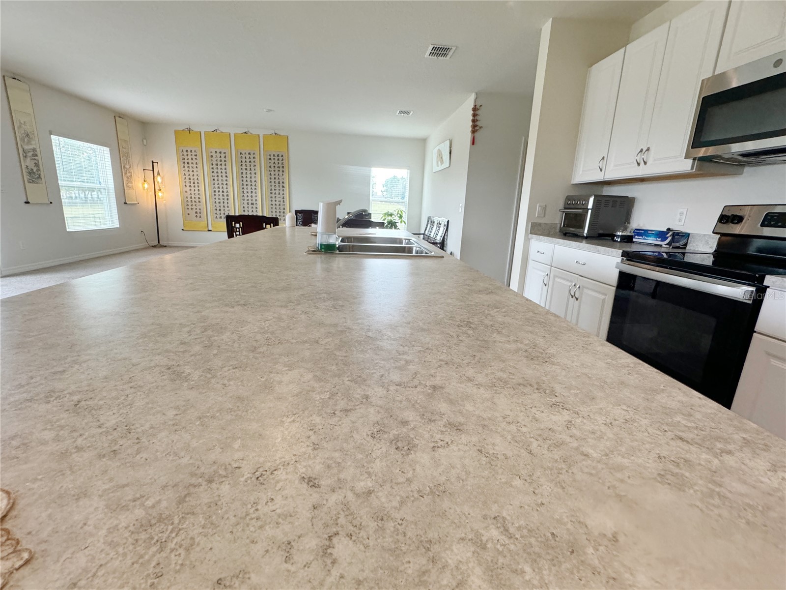 583 Black Eagle Drive Groveland FL 34736 O6410601 image12